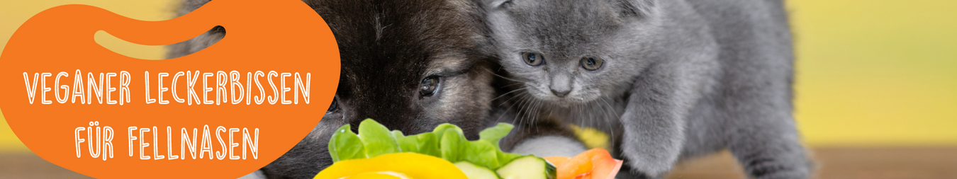 Premium Veganes Hundefutter und Katzenfutter