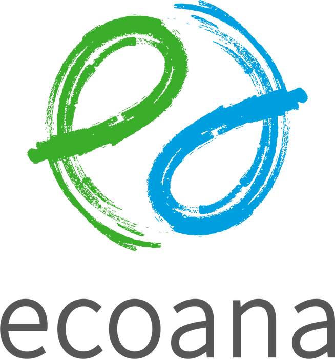 The Banana Bros Chips (20g)